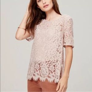 Loft lace tee with matching tank